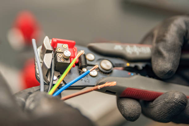 Best Electric Panel Repair  in Bear Creek, FL
